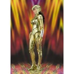Wonder Woman 1984 Golden Armor Bandai S.H. Figuarts 16 cm