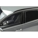 Audi RS6 Avant C8 2020 nardo grey 1:18
