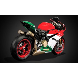 Ducati 1299 Panigale R Final Edition Kit 1:4