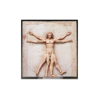 Vitruvian Man Table Museum Figma Af 15cm/h