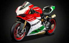 Ducati 1299 Panigale R Final Edition Kit 1:4 - 58067