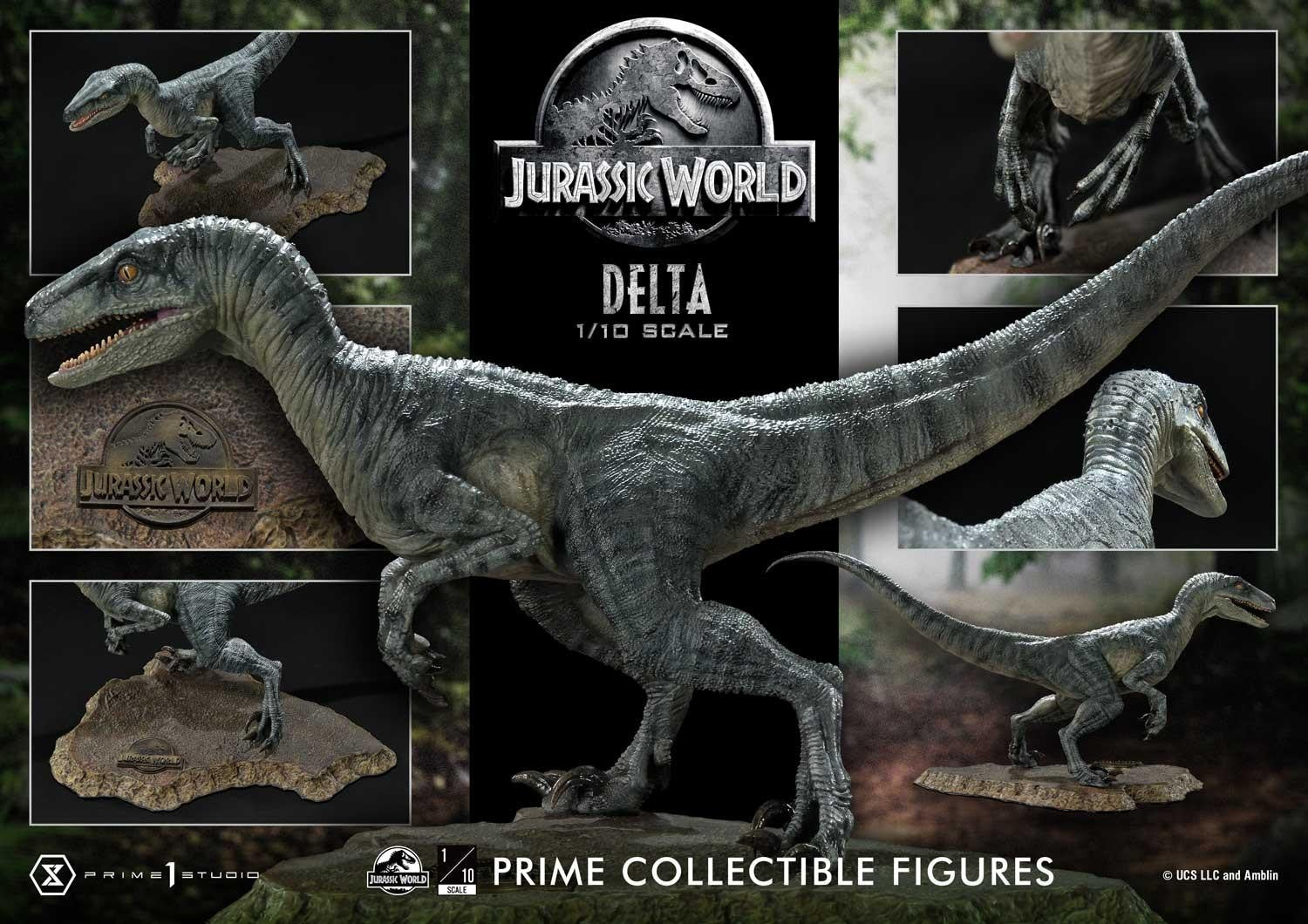 71051