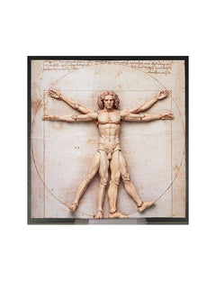Vitruvian Man Table Museum Figma Af 15cm/h - 74132