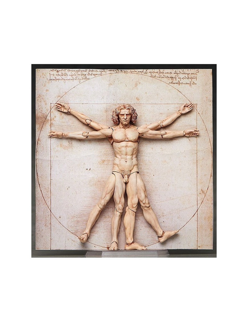 Vitruvian Man Table Museum Figma Af 15cm/h - 74132