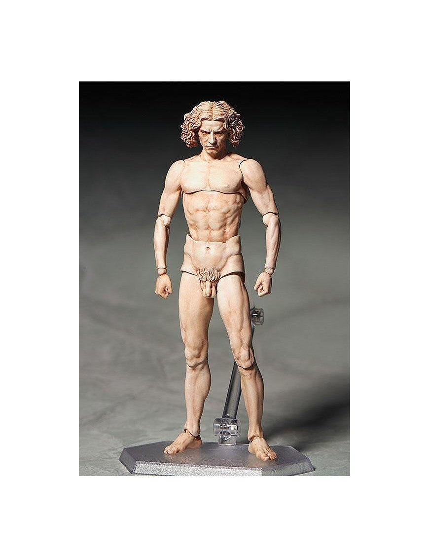 Vitruvian Man Table Museum Figma Af 15cm/h - 74133