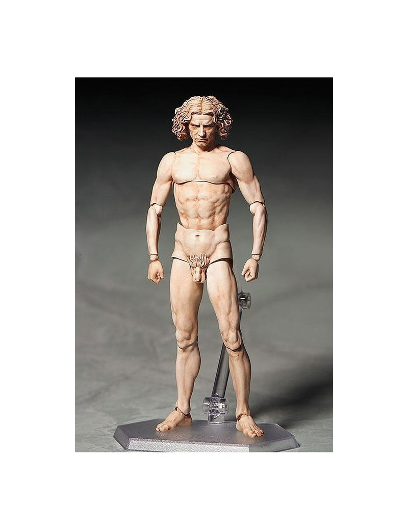 Vitruvian Man Table Museum Figma Af 15cm/h - 74133