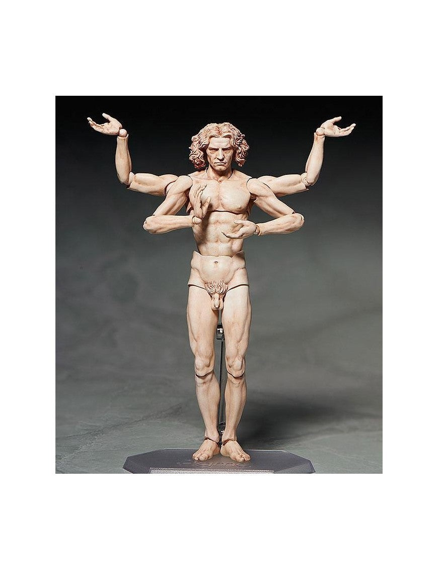 Vitruvian Man Table Museum Figma Af 15cm/h - 74134