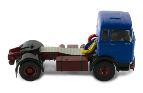 79036