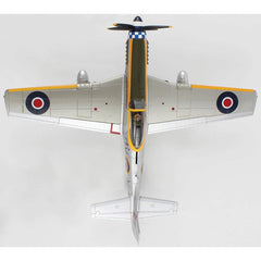 Mustang Mk.IV "Dooleybird" flown by F/L Arthur S. "Joe" Doley 19th Squadron RAF late 1945 1:48 - 79491