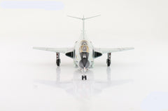 F-101B Vooodoo "The Happy Hooligans" 58-0291 USAF 1975 1:72 - 79521